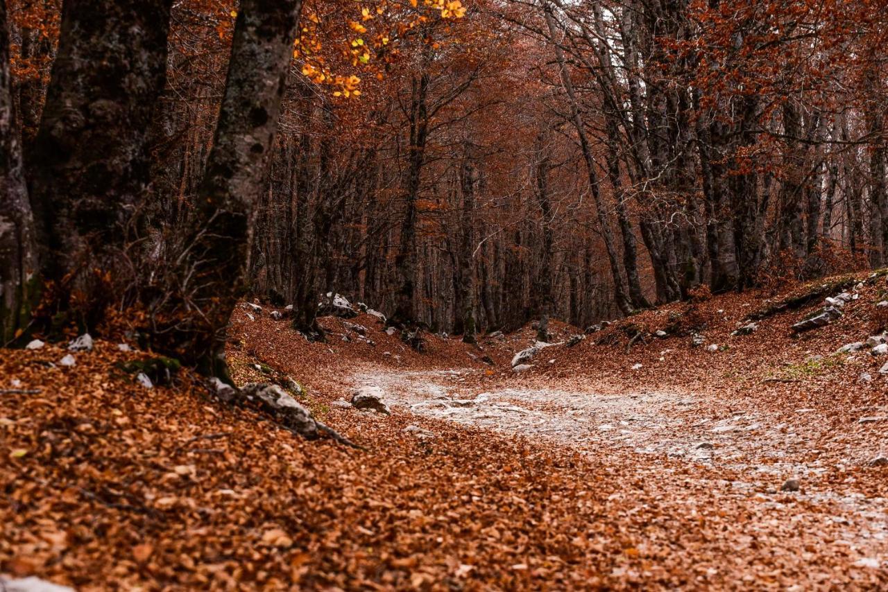Appartamento A Campo Felice - Treeffe Collimento 外观 照片